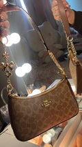 Tan/ Brown bag